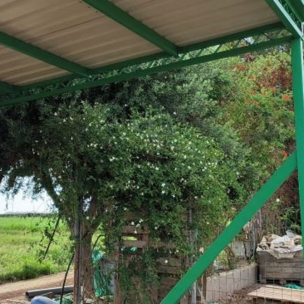 Pérgola de aluminio para cobertizo de campo